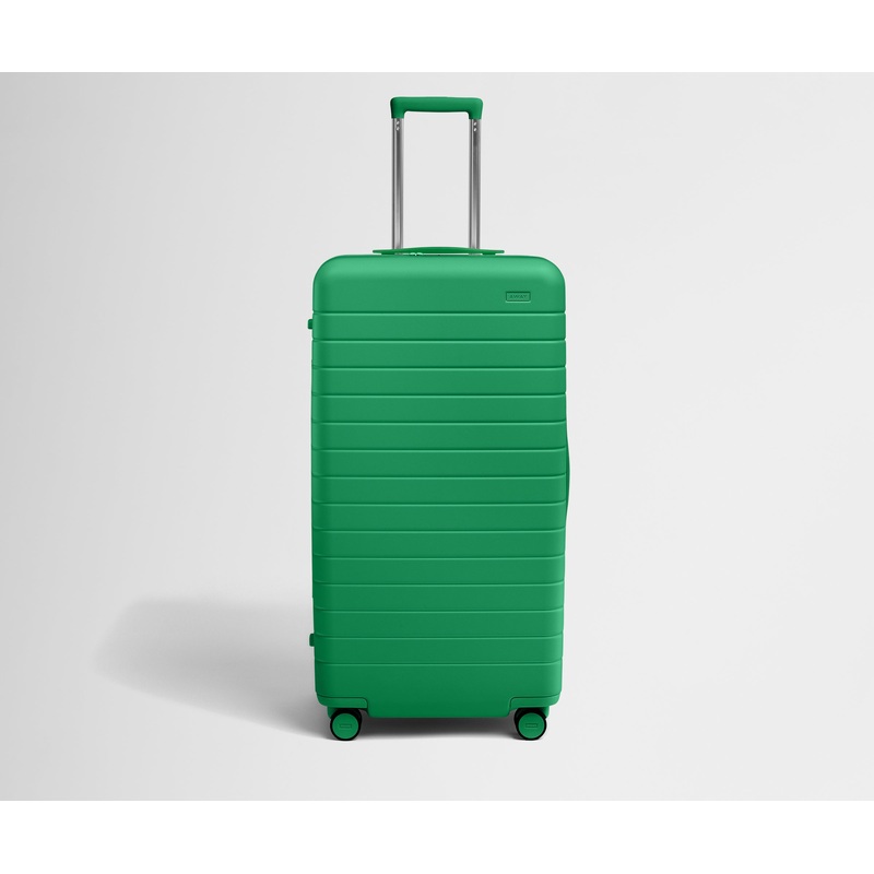 The Trunk in Palm Green